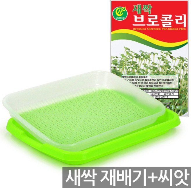 세인화분 새싹 재배기 + 새싹 씨앗 1P - 채소 키우기 수경 식물 플라스틱 모종 트레이 캣그라스 육묘판 보리 귀리 밀 키우기, 1세트, 새싹재배기+브로콜리(30g)