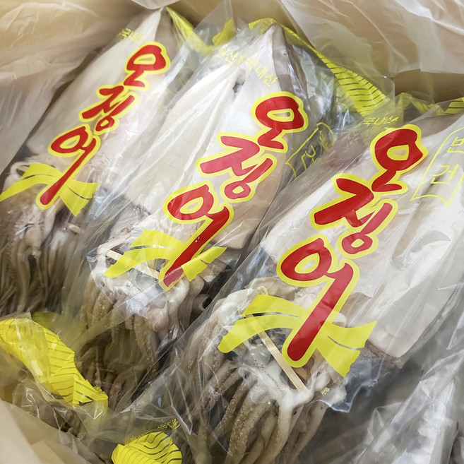 건어물이좋다 영덕 국내산 반건조 오징어 10마리, 1개, 1.7kg 내외, 국산 반건조 10미