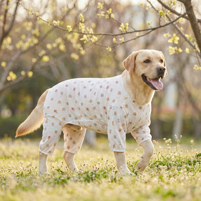 Diqpet 프리미엄 숨쉬는 인견 린넨 곰돌이 대형견 올인원 강아지 봄옷 털빠짐 꽃가루 완벽차단 XL부터 8XL 전사이즈, 흰 바탕의 작은 곰, 2XL(권장 7.5-10kg )