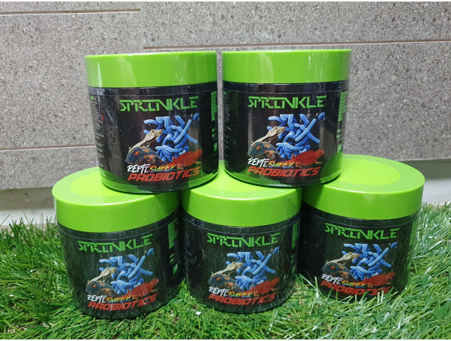 육지거북 파충류 전용 렙티 슈퍼프로바이오틱스 100g 유산균 정장제 NRC 스피링클, 1개