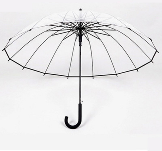 무배 26년형 튼튼한 16살대 투명 블랙라인 자동우산 5시건 당일배송