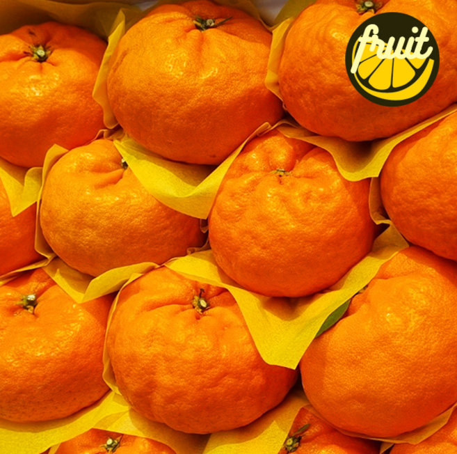 [12월23일부터출고]탱글한 과육 풍부한 과즙 +부드럽게 녹는 식감 고당도 햇 윈터프린스 감귤, 1박스, 대과 5kg (16-25과)