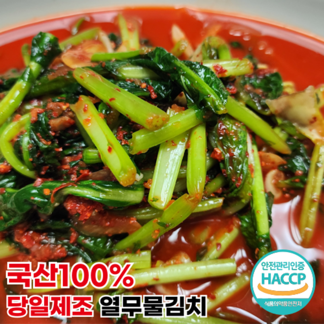 [행운김치] 국산백프로 전라도 열무물김치 당일제조, 1개, 2kg