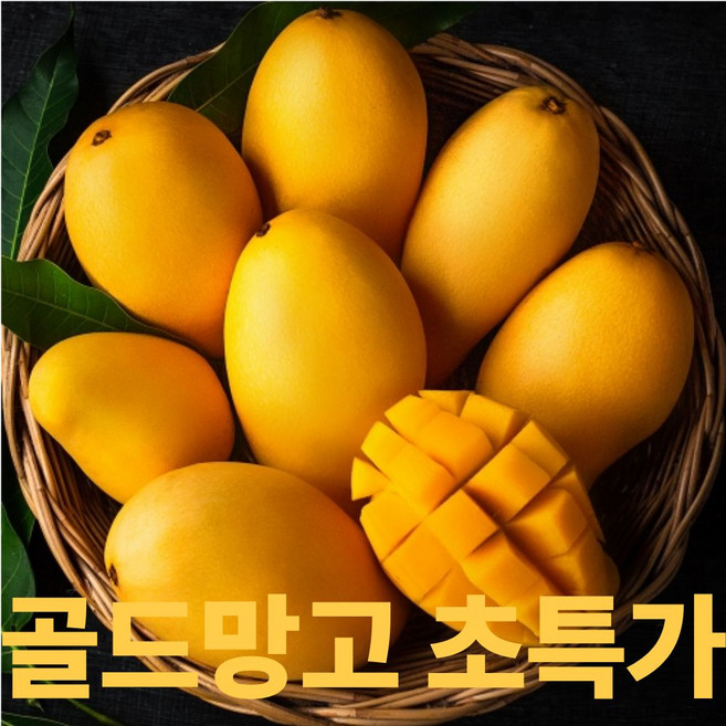 디씨웰 골드망고 태국망고 프리미엄 망고 항공직송 초특가, 1개, 5kg(15과내외)