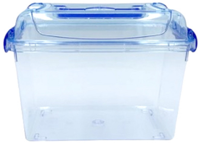 와이피 클린 곤충 채집통 S, 혼합색상, 1개