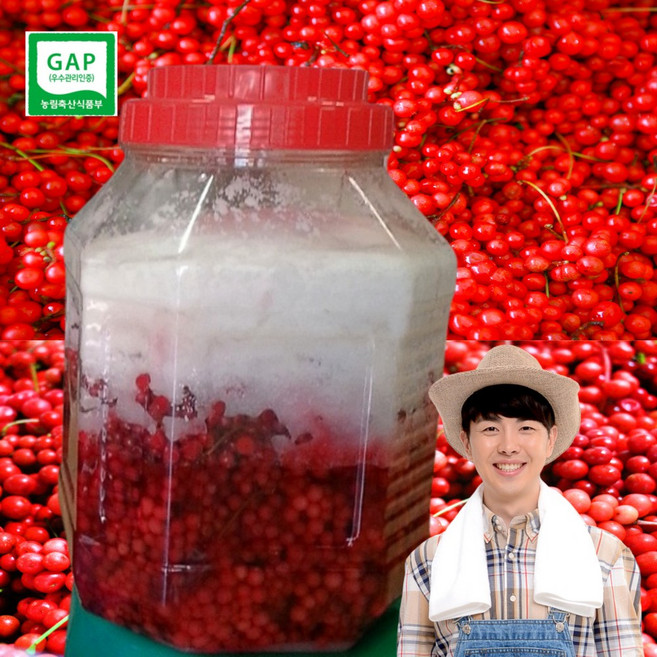 국산 강원도 산 오미자당절임 오미자 당 절임 오미자청 국내산 오미자차 원액 엑기스 액기스 열매 생오미자 절임, 오미자 당절임 10kg, 1개