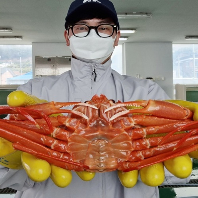대흥수산 수율보장 일반형홍게 3kg 자숙 8-12미, 1, 1개