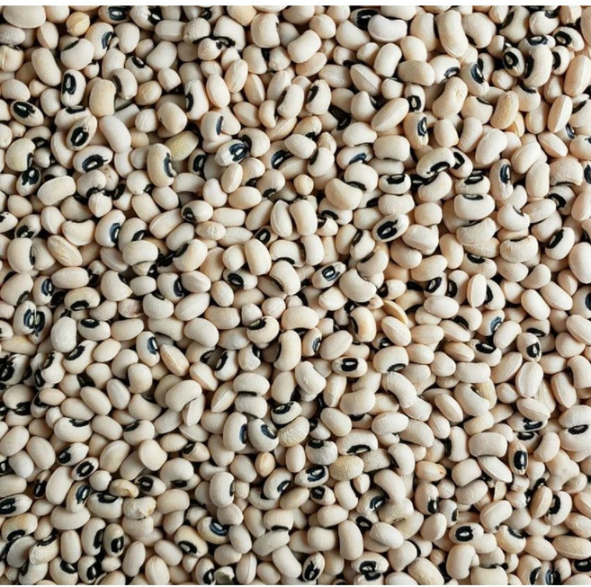 동부콩 돈부콩 콩고물 떡고물 콩가루 인절미 대용량, 1개