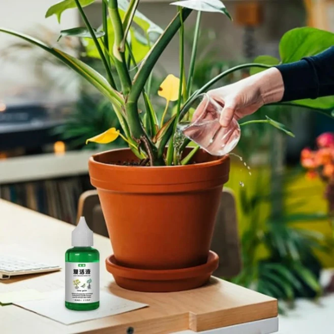 식물 부활 농축 비료 액체 성장 50ml, 01 1PCS, 1개 - 쿠팡