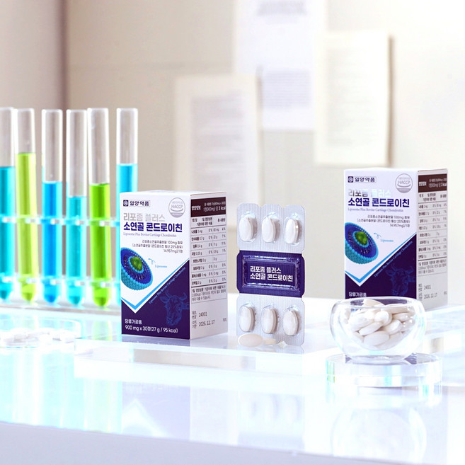 일양약품 콘드로이친 3개월분 관절엔 리포좀플러스, 1개, 90정