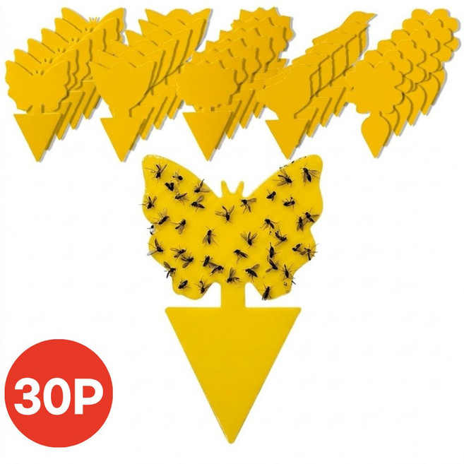 올유마인 초파리 날파리 벌레 끈끈이 트랩 5종 30p, 1세트, 30개입