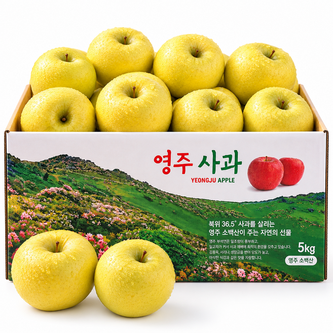 [최고 15Brix_특품_특대과] 영주 시나노골드사과 황금사과 정품품질보장, 1박스, 특품_특대과 3kg(정품7,가정용3)