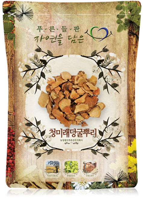푸른들판 국내산 청미래 덩굴 뿌리, 500g, 1개