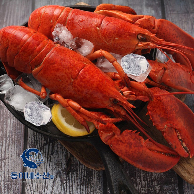 [동이네수산] 캐나다현지급냉 프리미엄 자숙랍스터 (마리당 440~500g), 440~500g, 2개