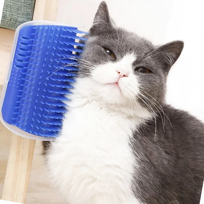 고양이 셀프 그루밍 브러쉬, 고양이코너브러쉬, 1개 - 쿠팡