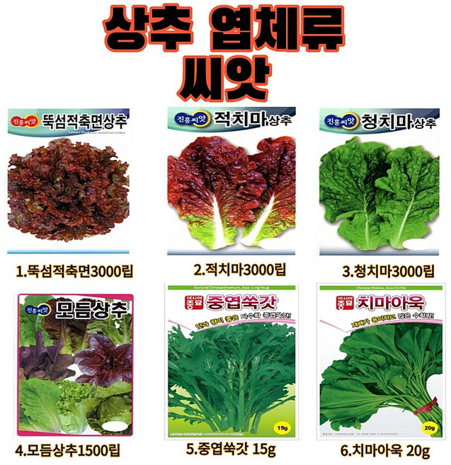 쌈채소 모음세트 상추 씨앗 치커리 청경채 양상추 줄기상추 케일 부추 쑥갓 아욱 꽃상추, 2.적치마 3000립, 1개