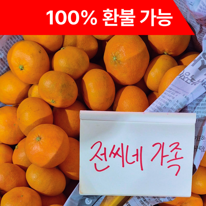 [제주한경면] 카라향 고당도 산지직송 초특가, 1박스, 3kg (중과)