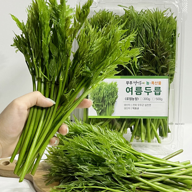 2026 무주 고산지 햇 여름두릅 산지직송, 2kg, 1개