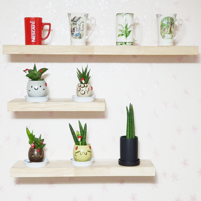 ALL09 선반 무지주선반, 무도장원목