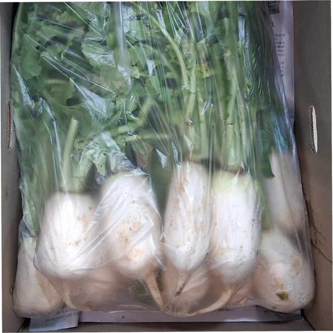 총각김치 김장용 국내산 여수 알타리무, 1개, 3kg