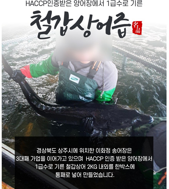1급수에서 기른 이화정 철갑상어 진액 15포/30포/60포, 15포(1박스), 1개, 3L