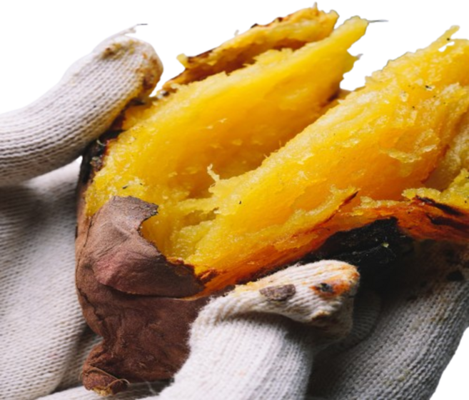 현직농부 땅끝 해남 꿀고구마 정품, 1박스, 꿀고구마 10kg 한입(50g 이하)