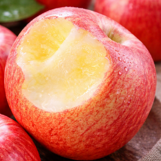 [50박스선착순특가] 아삭달콤꿀맛 못난이부사 청송 꿀사과, 1개, 5kg