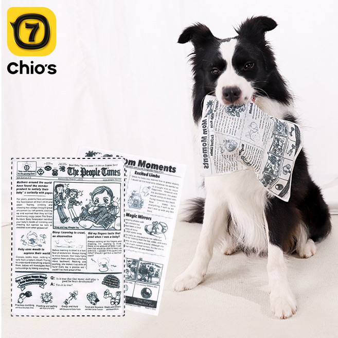 강아지장난감 반려동물 신문지 장난감 4개, 혼합색상, 1세트