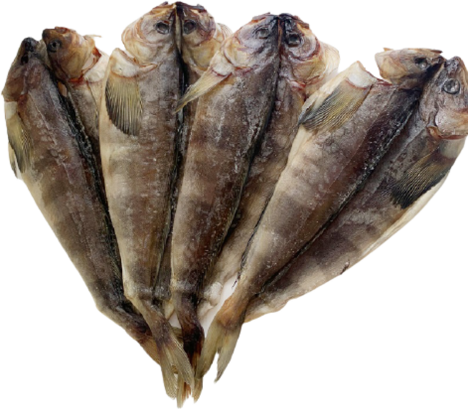 [속초생선아줌마] 속살이 부드러운 반건조 임연수 특대(36cm 내외), 300g, 5개