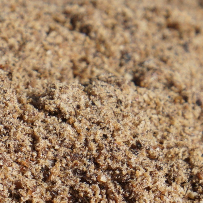 국산 굼벵이가루 100g - 식용 굼벵이분말 꽃뱅이, 1개