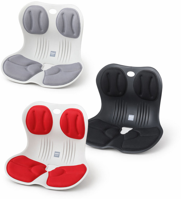 웰이즈 체어 바른 자세 교정 의자 좌식의자, 블랙