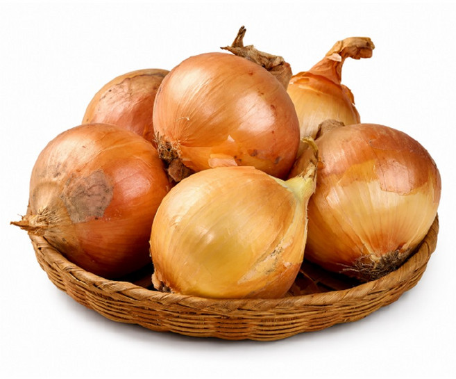 26년 창녕 양파 햇양파, 1개, 3kg(중)