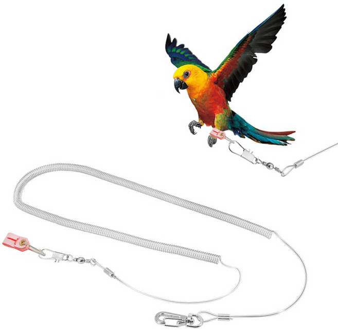 반려마음 앵무새 발목링 발목줄 산책줄 리드줄 하네스, 1개, 8호+5m