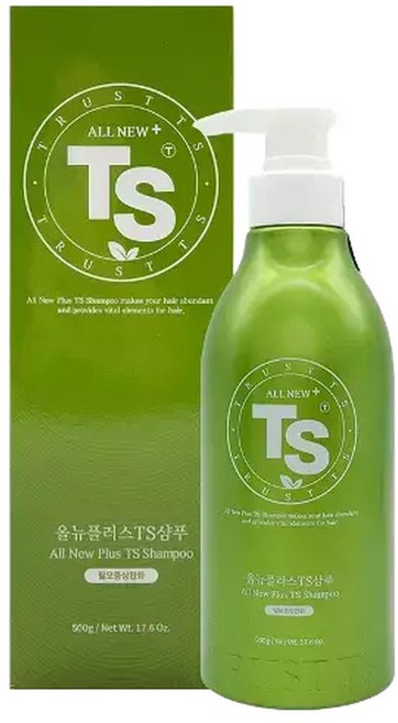 올뉴 플러스 TS 샴푸 500ml x, 1개