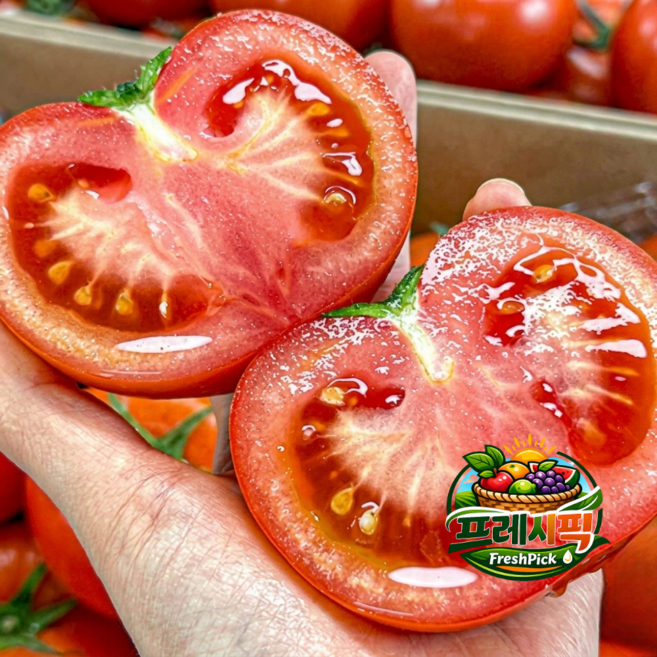 [프레시픽] 초특가 산지직송 완숙 토마토, 1박스, 5kg(대과)