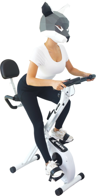 닥터바이크 접이식 실내자전거 WOLF BIKE, E2CD-1547, 블랙