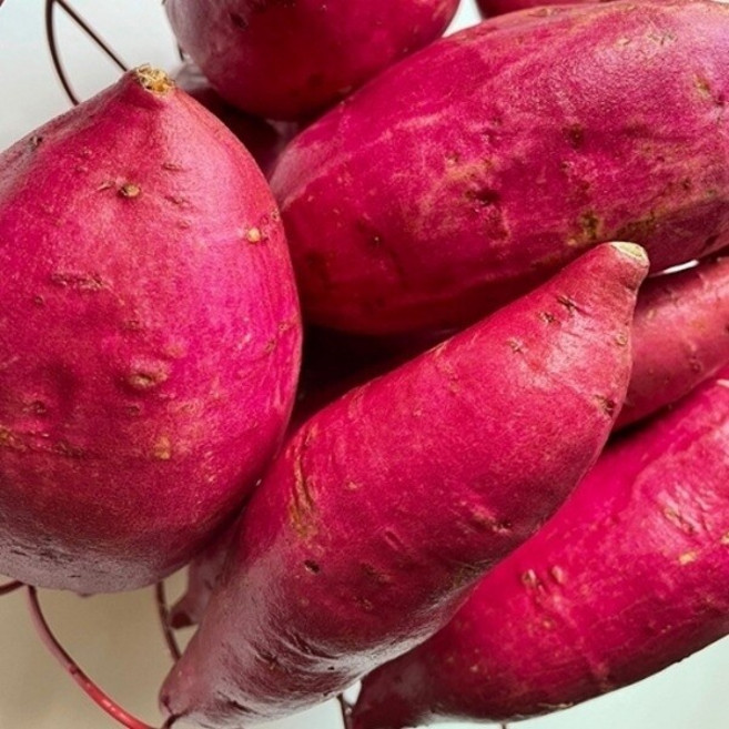 무농약 해남 세척 햇 고구마 3kg(한입)22668408681251, 1개, 3kg