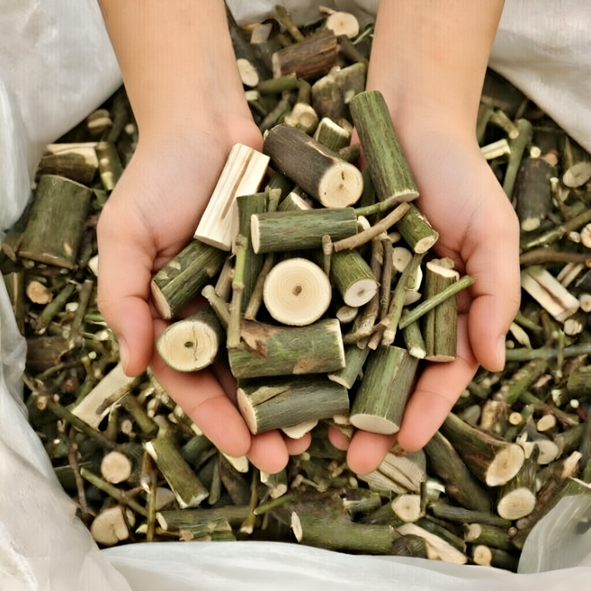 25년 수확 국내산 벌나무 산청목, 1개, 500g