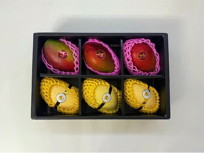 <제주빛가람> [선물세트] 프리미엄 고당도 애플망고 & 태국망고 혼합세트! 고급포장! 당도보장! 4입/6입, 1세트, 태국망고&애플망고(6입)세트_2.2kg내외