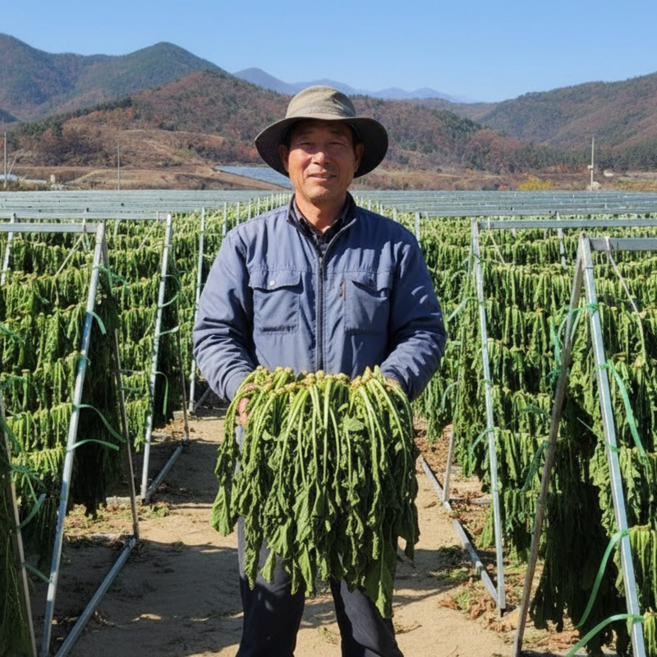산지직송 양구 펀치볼 삶은 시래기, 5개, 200g