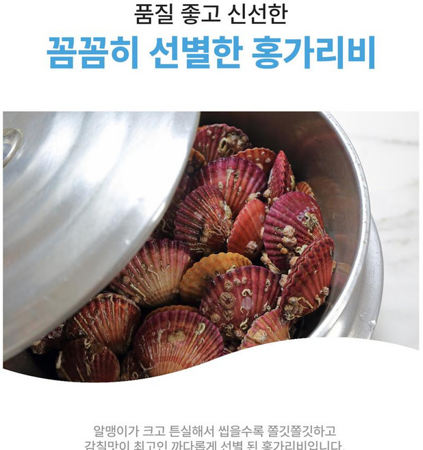 아빠가고른 통영 홍가리비, 1박스, 1kg