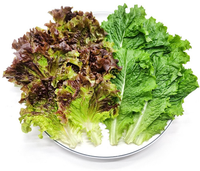 [사계절청년농부] 신선한 국내산 로메인 꽃상추 반반 세트, 1개, 300g