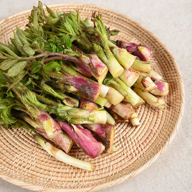 국내산 땅두릅 자연산 두릅 산나물 햇두릅 산두릅, 1개, 1kg