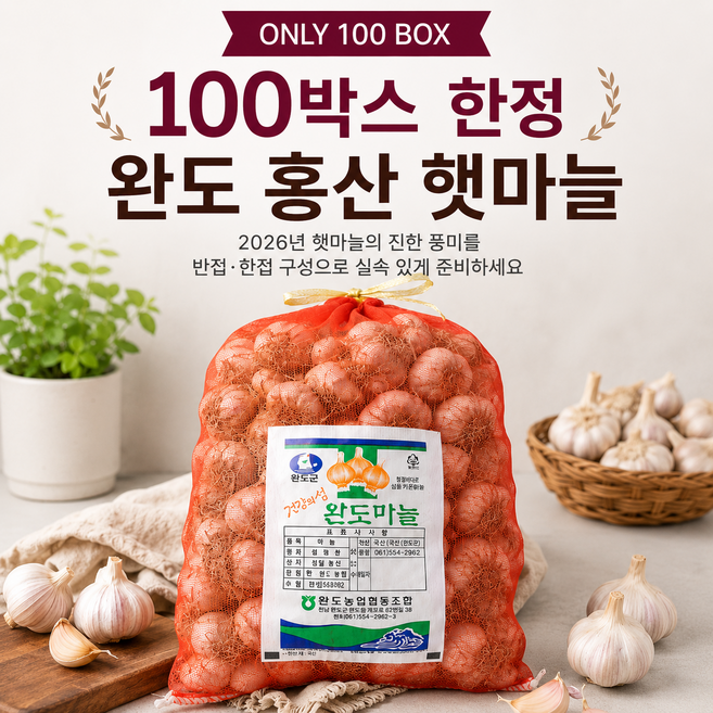 [딱100박스만!!] 완도마늘 홍산마늘 햇마늘 국산마늘, 1박스, 한접 (100개)