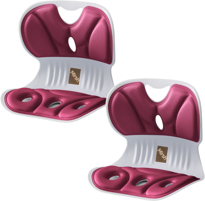 Mirsh [ 1+1 ] 바른자세 등받이 허리보호 자세보정 의자, 버건디