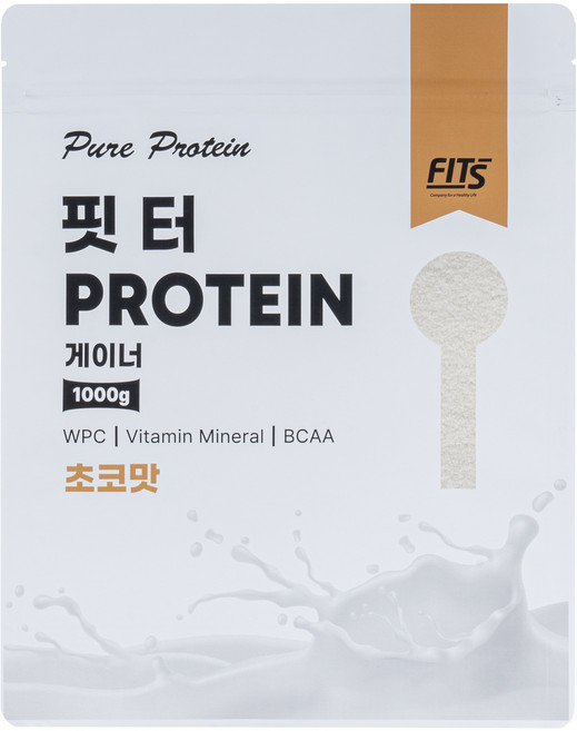 핏츠 게이너 핏터 초코 1kg, 1개