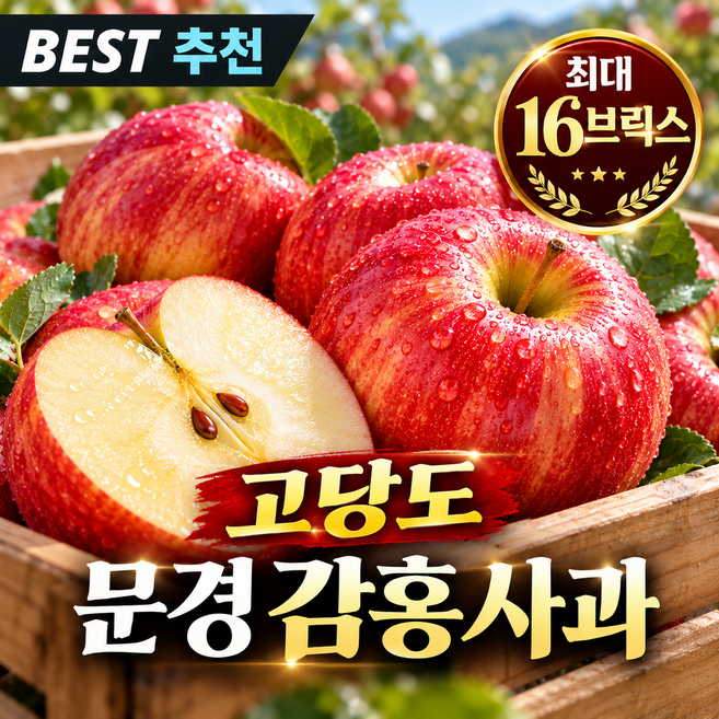 [단독초특가] 하루딱100박스한정 16brix 고당도 감홍사과, 1박스, 5kg