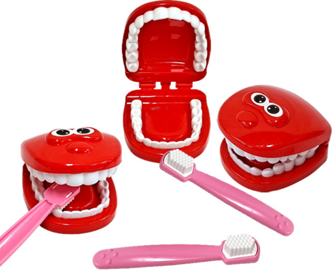 치아모형 치카치카 3개세트 양치연습, 혼합색상, 1개