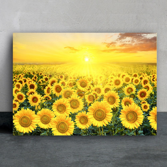 화색갤러리 아침햇살 해바라기 그림 캔버스액자, 1개