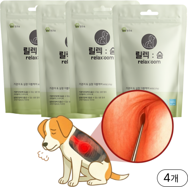 강아지 기관지 심장 더블케어 영양제 릴렉숨, 80정, 호흡기/기관지, 4개